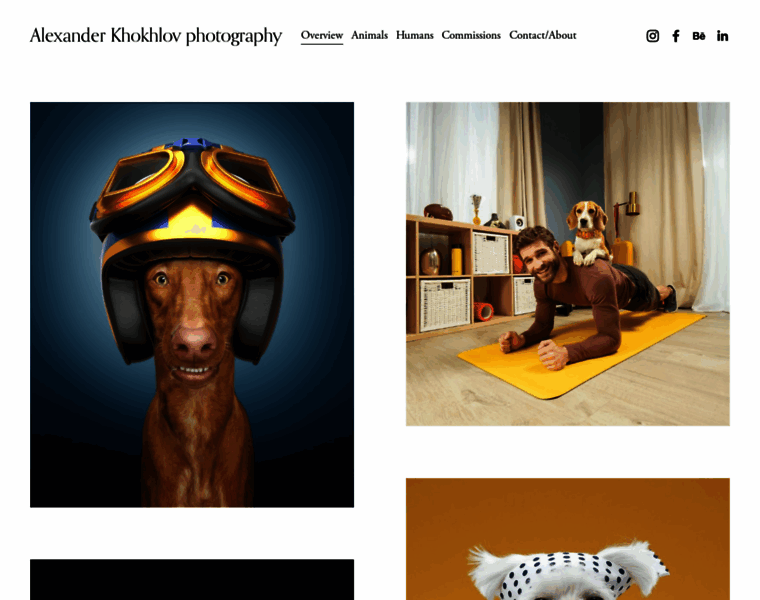 Alexanderkhokhlov.com thumbnail Alexanderkhokhlov.com thumbnail