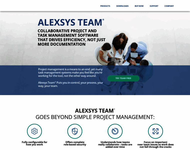 Alexsys.team thumbnail