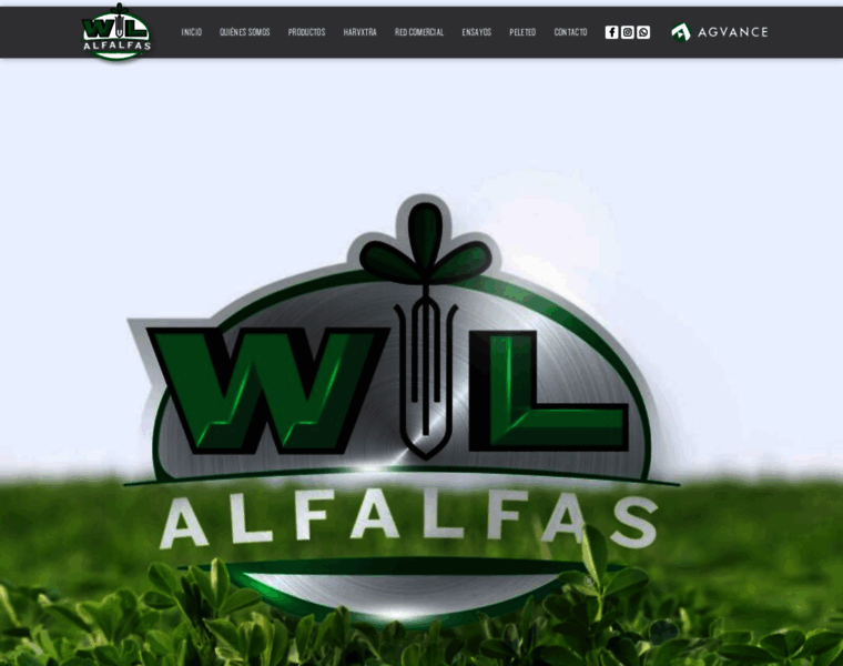 Alfalfaswl.com.ar thumbnail