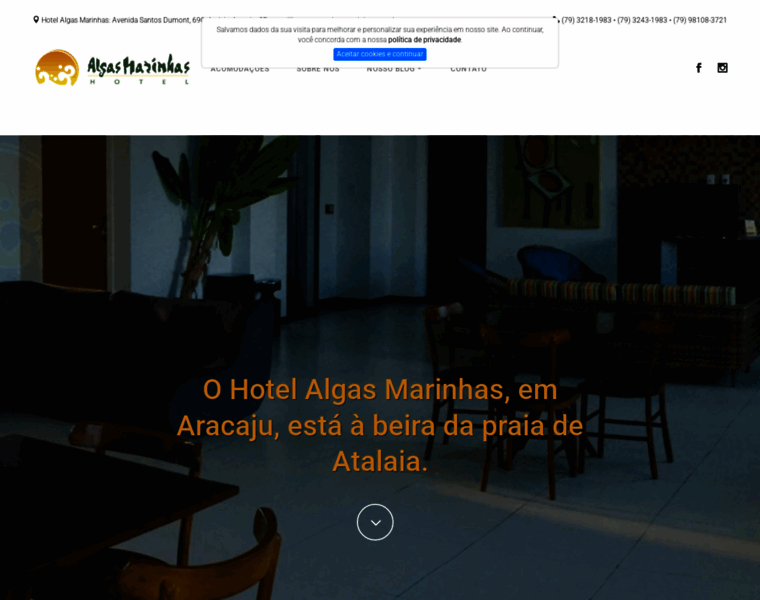 Algasmarinhas.com.br thumbnail