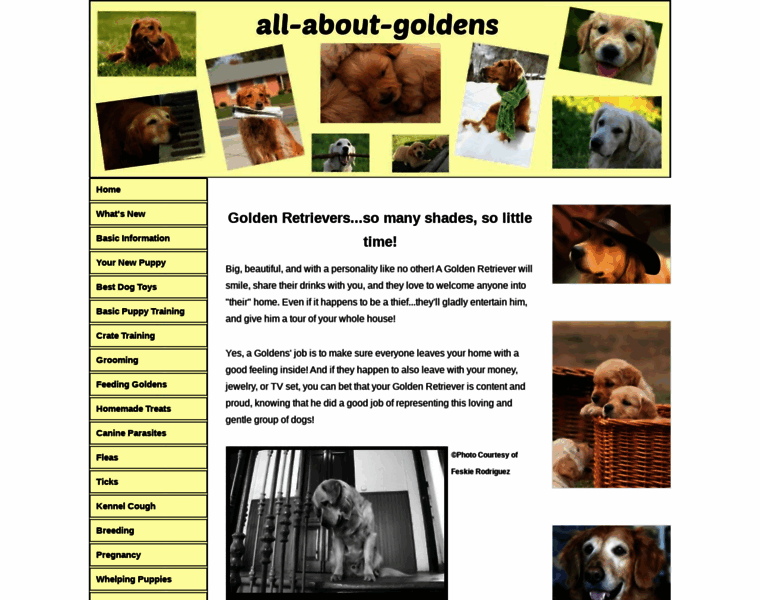 All-about-goldens.com thumbnail