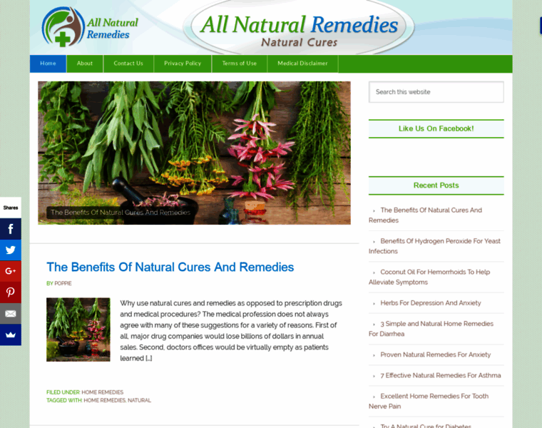 All-natural-remedies.org thumbnail