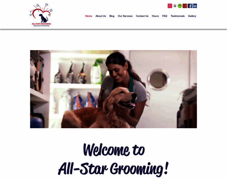 All-stargrooming.com thumbnail
