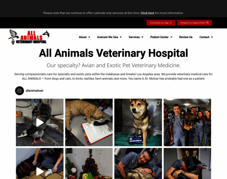 Allanimals-veterinary.com thumbnail