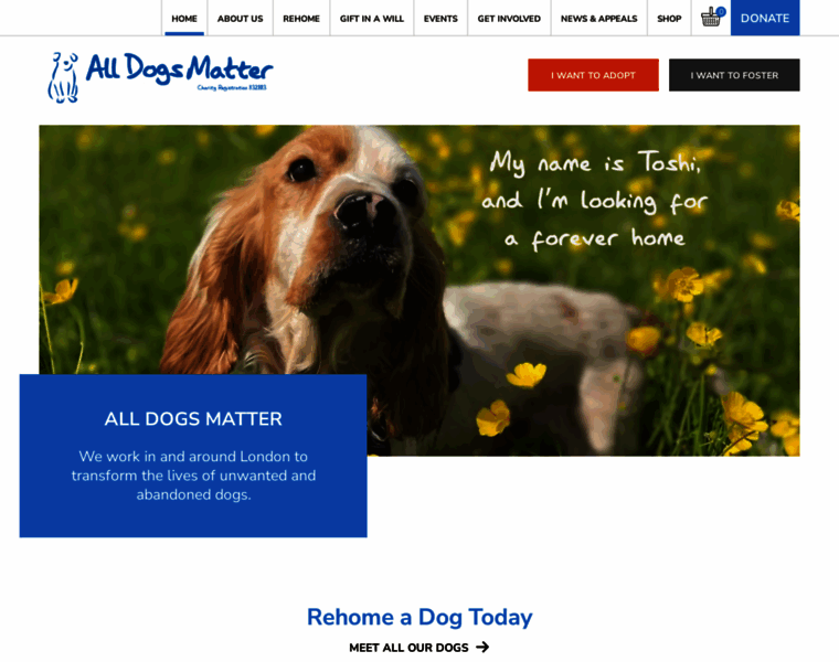 Alldogsmatter.co.uk thumbnail