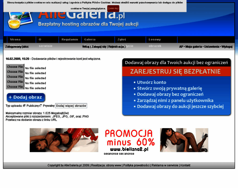 Allegaleria.pl thumbnail Allegaleria.pl thumbnail