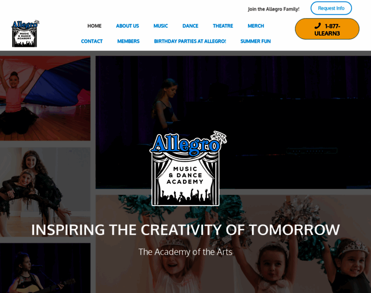 Allegro-academy.com thumbnail