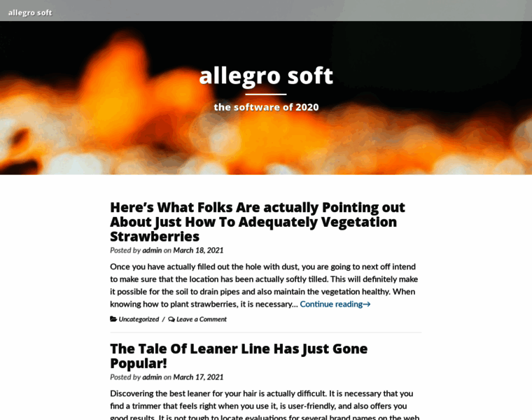 Allegro-soft.com thumbnail