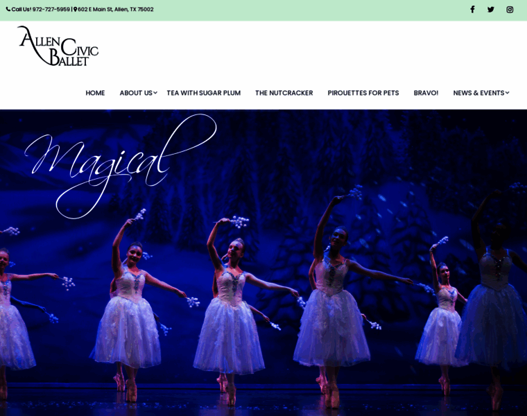 Allencivicballet.org thumbnail