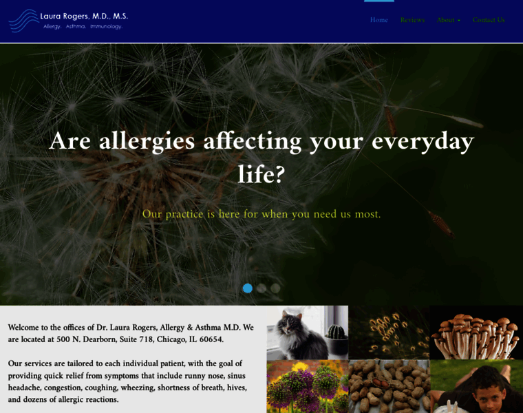 Allergychicago.net thumbnail