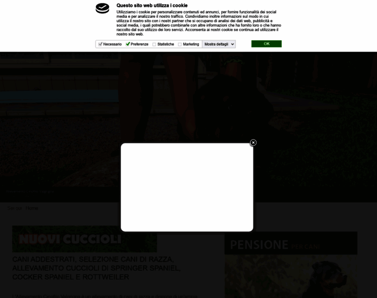 Allevamentocinofilovalgrigna.it thumbnail