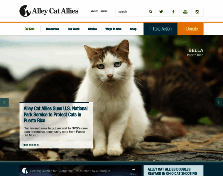 Alleycat.org thumbnail