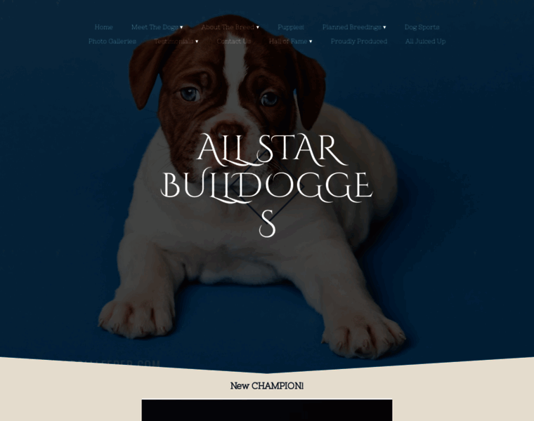 Allstarbulldogges.com thumbnail