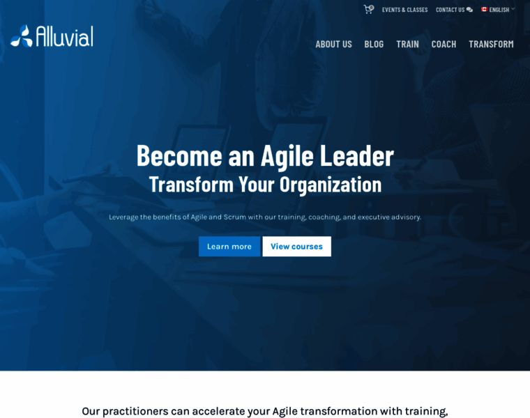 Alluvial-consulting.com thumbnail