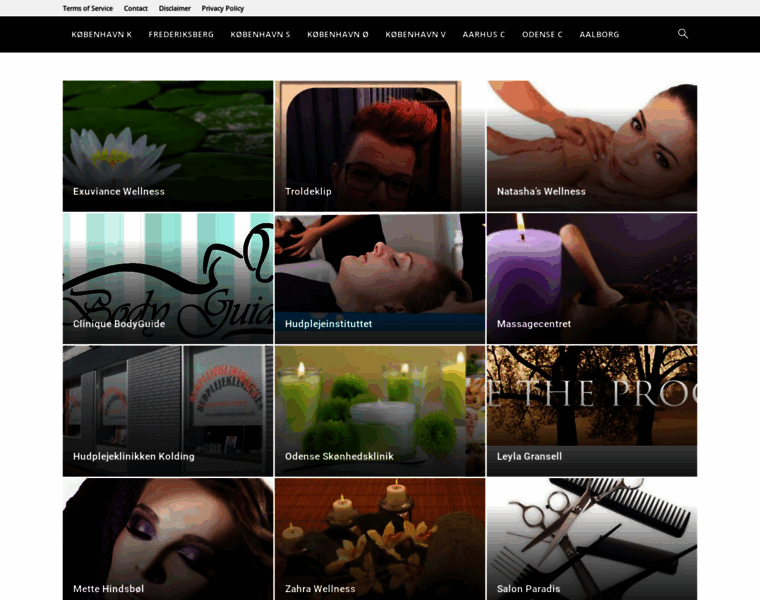 Allwellness.dk thumbnail