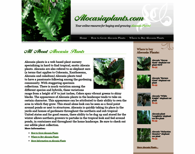 Alocasiaplants.com thumbnail