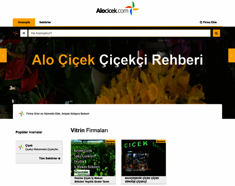 Alocicek.com thumbnail