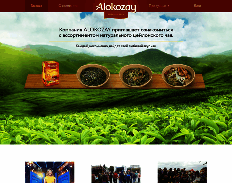 Alokozay.com.ua thumbnail