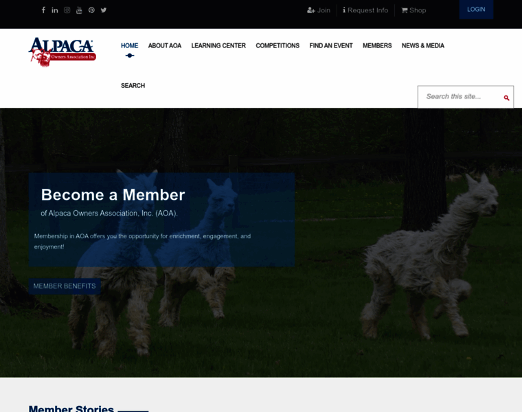 Alpacaowners.com thumbnail Alpacaowners.com thumbnail