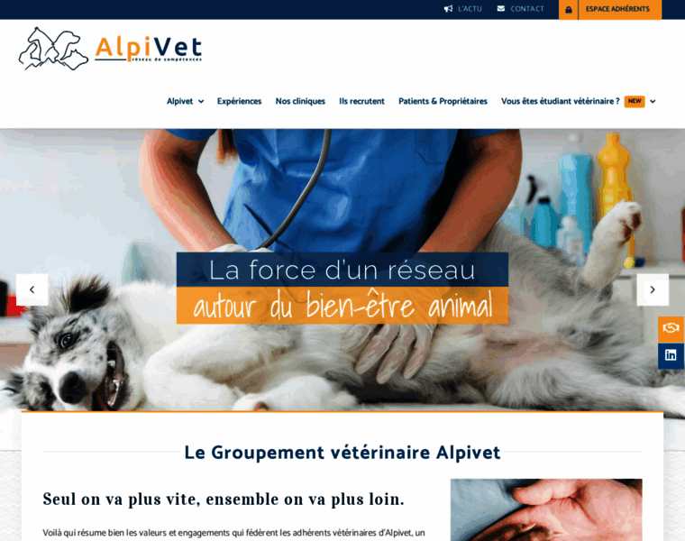 Alpivet.fr thumbnail