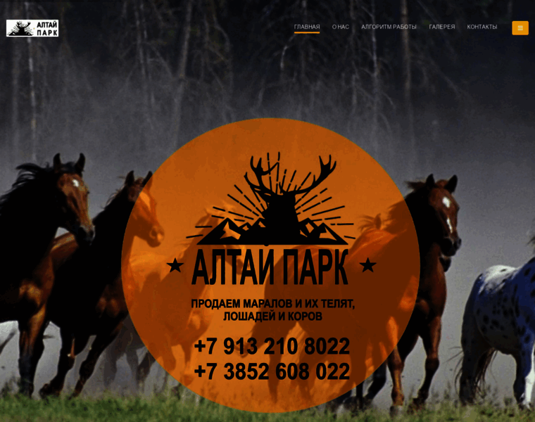 Altai-park.ru thumbnail