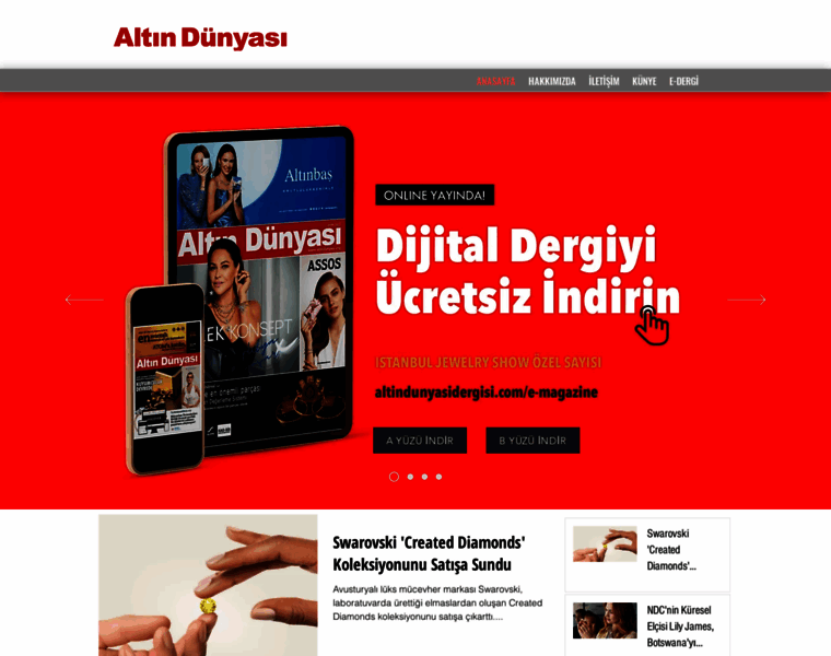 Altindunyasidergisi.com thumbnail
