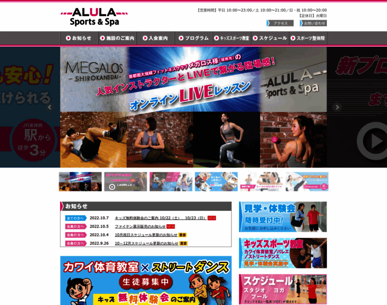Alula-sports.jp thumbnail