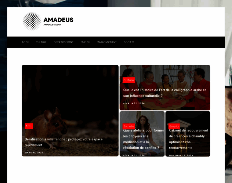 amadeus-audio.com at WI. amadeus-audio.com - amadeus-audio