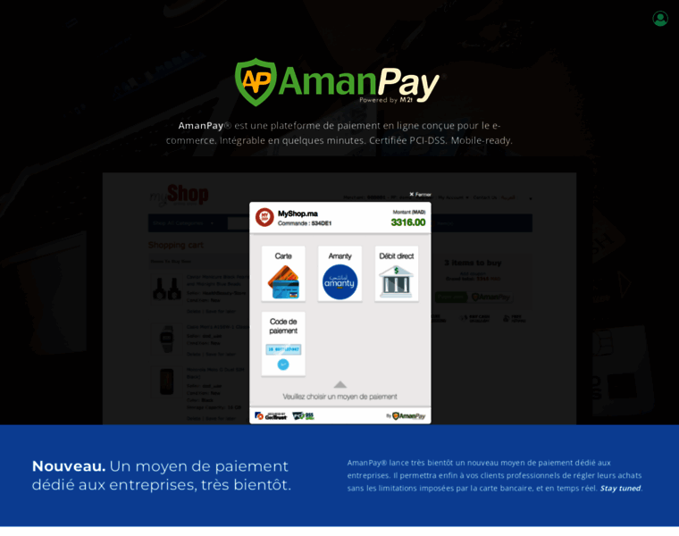 Amanpay.net thumbnail