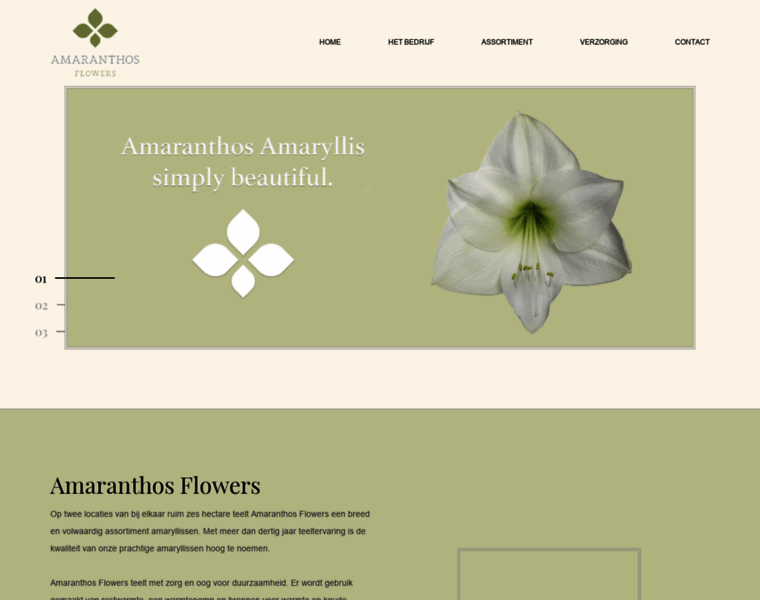 Amaranthosflowers.nl thumbnail