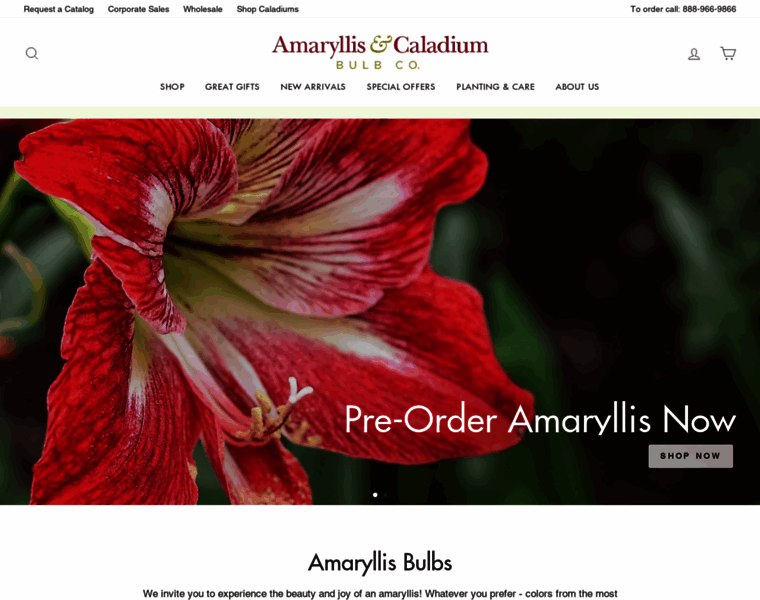 Amaryllis.com thumbnail