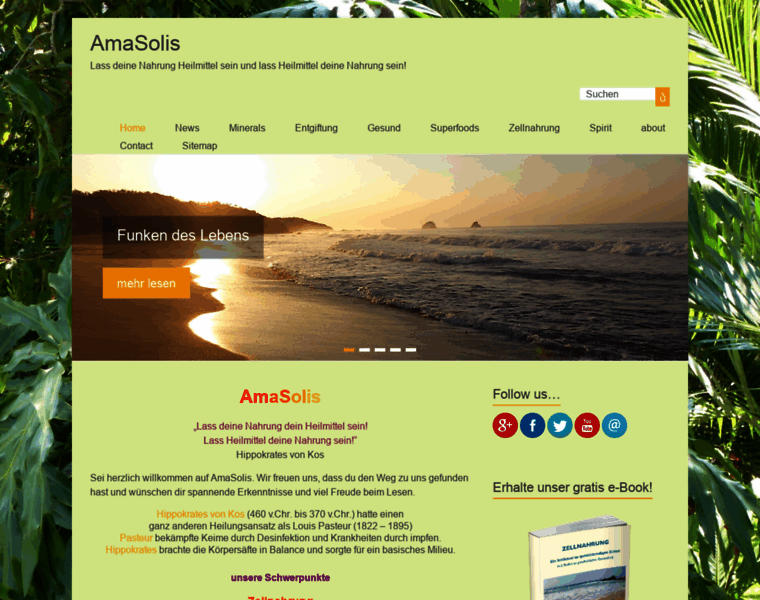 Amasolis.com thumbnail