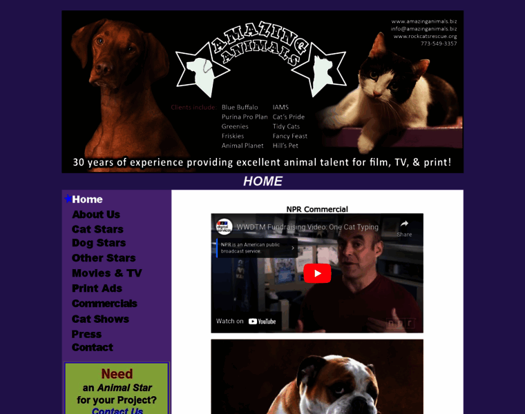 Amazinganimals.biz thumbnail