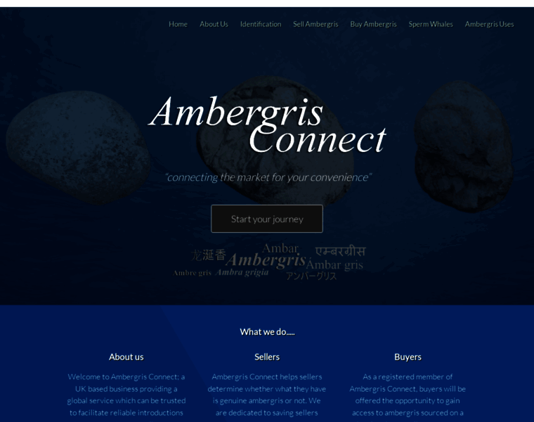 Ambergrisconnect.com thumbnail