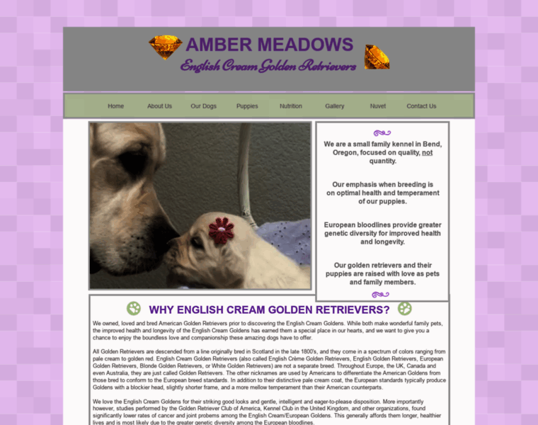 Ambermeadowsgoldens.com thumbnail