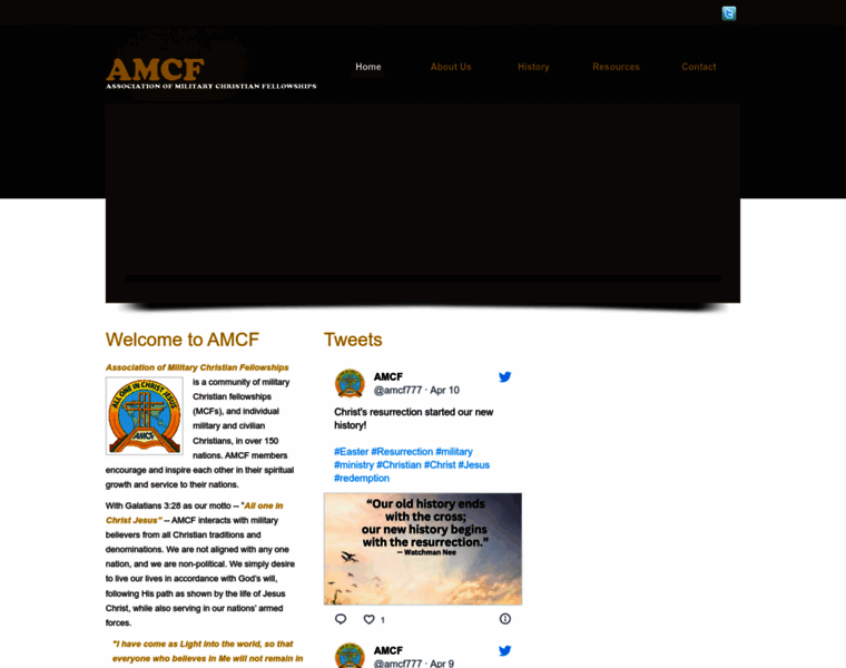 Amcf-int.org thumbnail