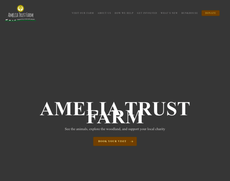 Ameliatrust.org.uk thumbnail