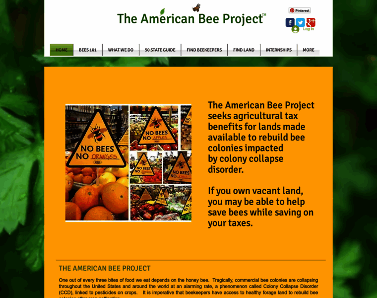 Americanbeeproject.com thumbnail