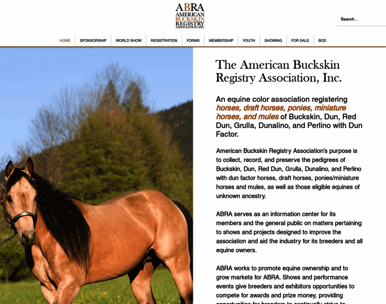 Americanbuckskin.com thumbnail