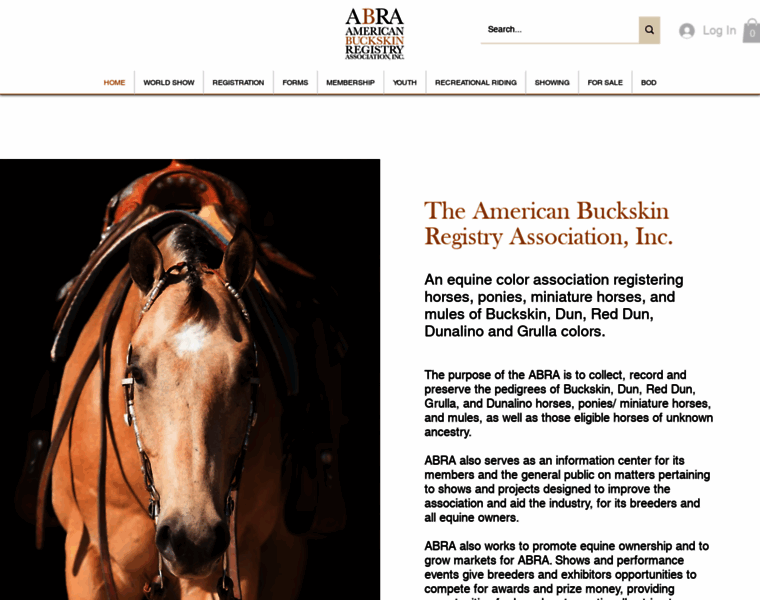 Americanbuckskin.org thumbnail