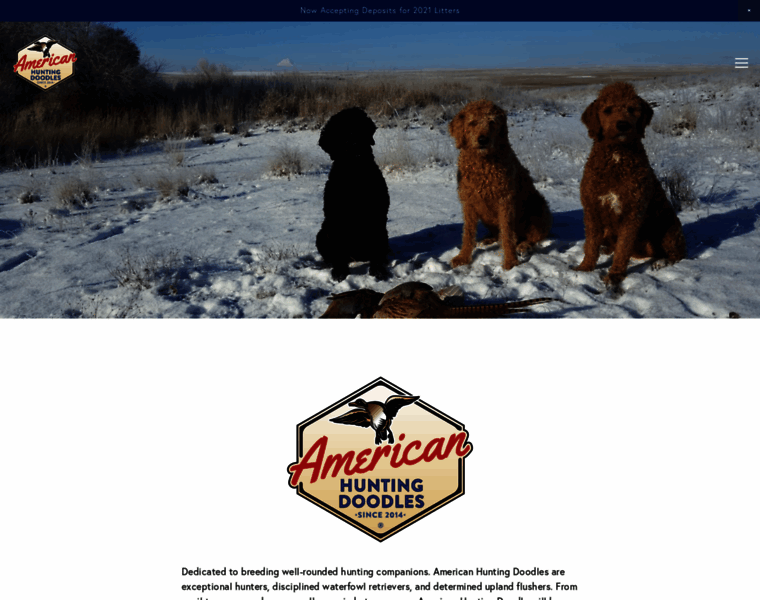 Americanhuntingdoodles.com thumbnail