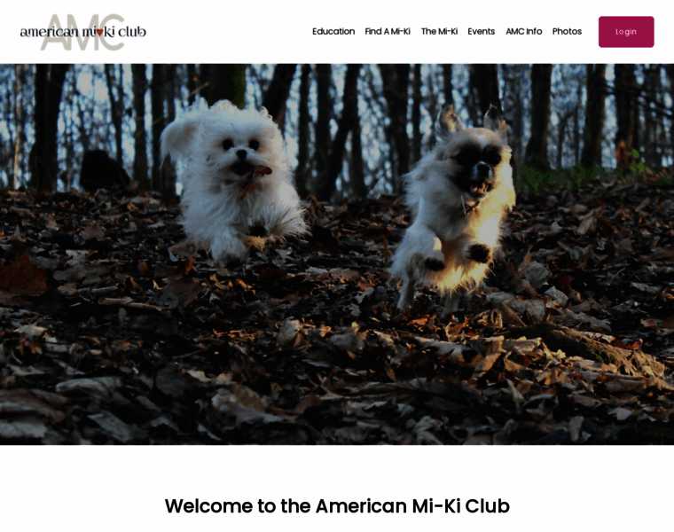 Americanmi-kiclub.com thumbnail