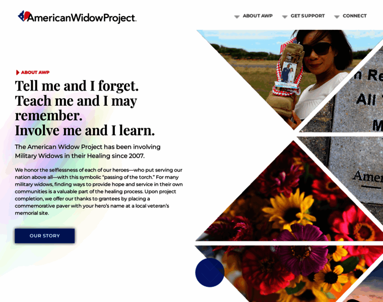 Americanwidowproject.org thumbnail