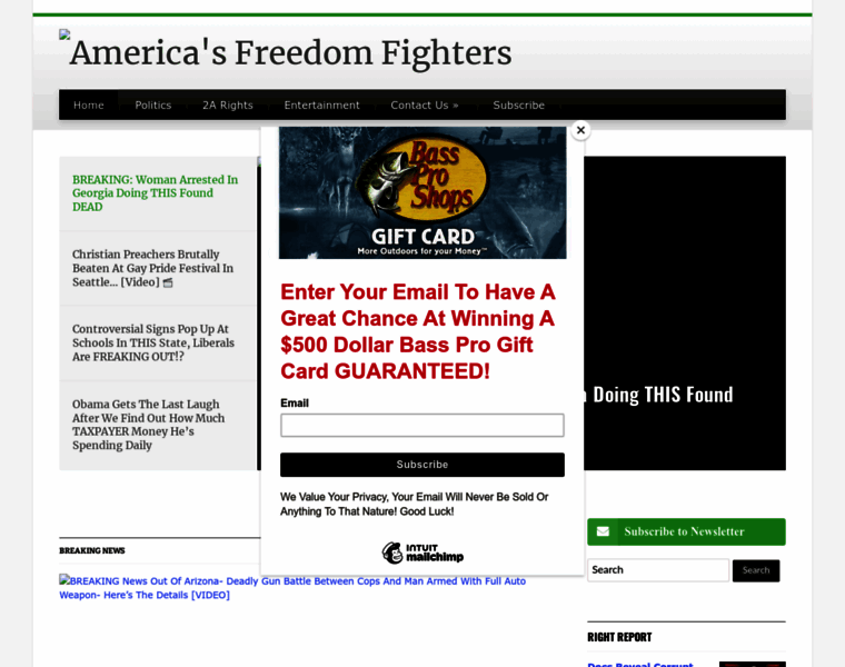Americasfreedomfighters.com thumbnail