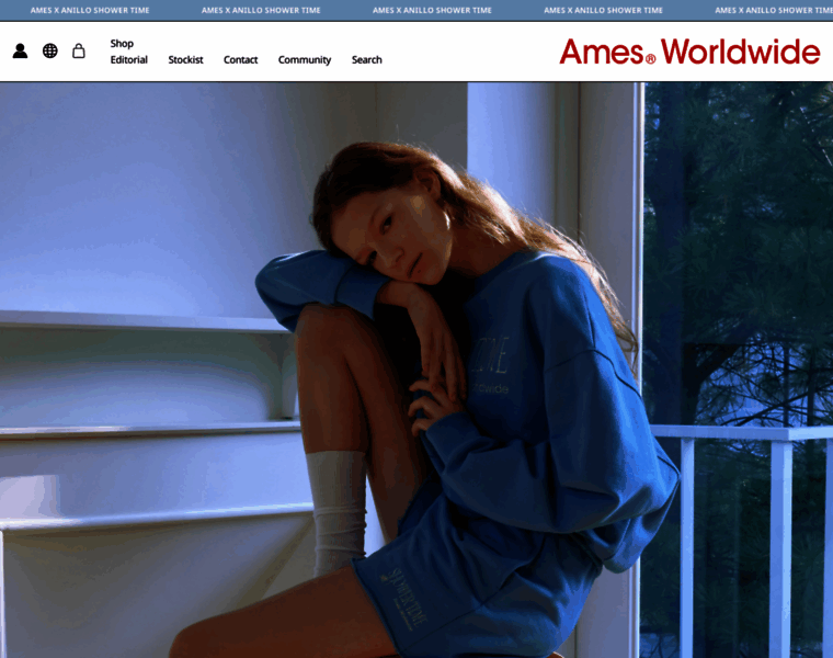 Ames-worldwide.com thumbnail