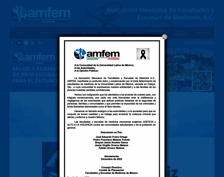 Amfem.edu.mx thumbnail