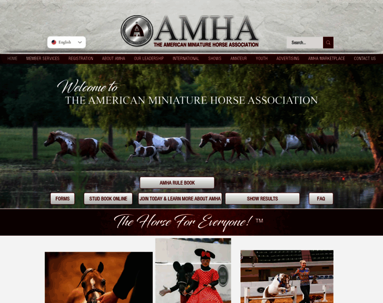 Amha.org thumbnail