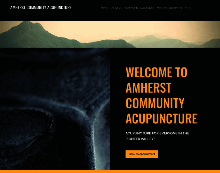 Amherstcommunityacupuncture.com thumbnail