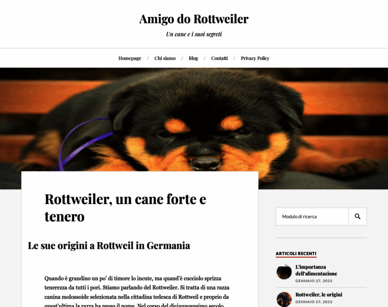 Amigodorottweiler.com thumbnail