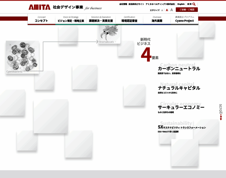 Amita-net.co.jp thumbnail
